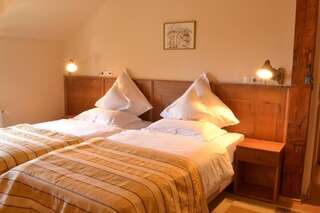 Отель Hotel Bielmann Sînpetru Двухместный номер с 1 кроватью или 2 отдельными кроватями-31