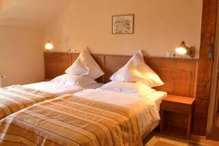 Отель Hotel Bielmann Sînpetru Двухместный номер с 1 кроватью или 2 отдельными кроватями-38